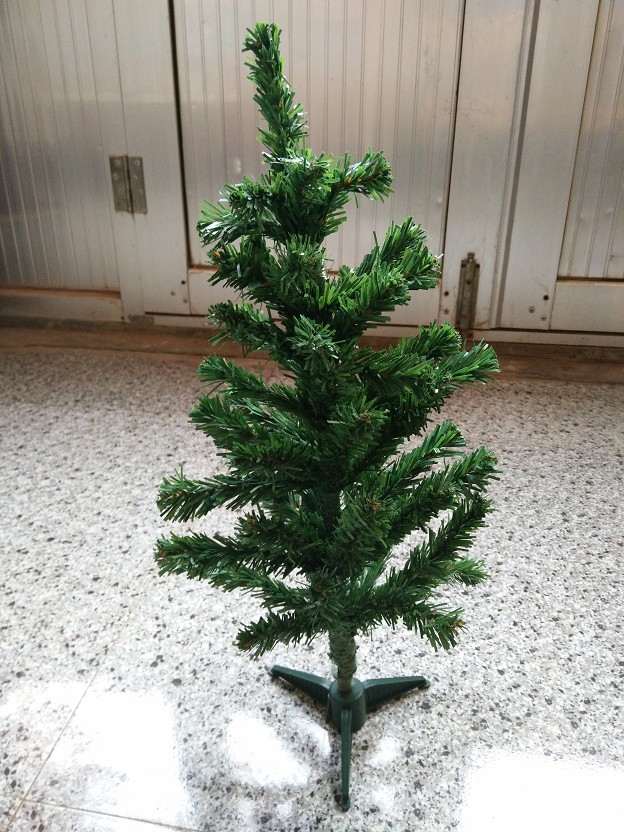 Simulation of plants